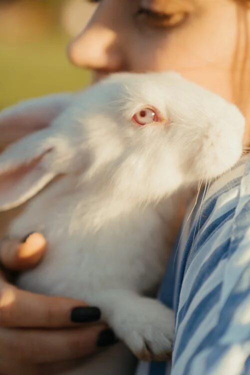 woman hugging a rabbit