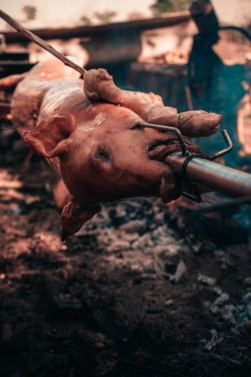 pig on a spit
