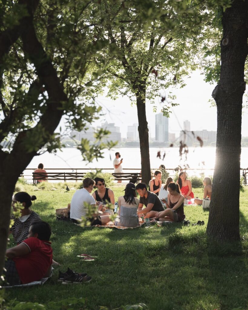 people on a picnic in the park